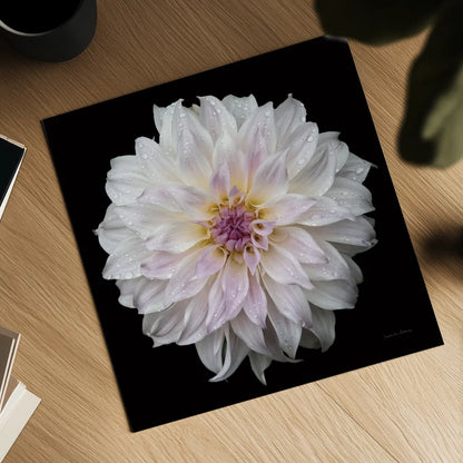 Dahlia IV by Debra Van Swearingen. Shown as a detailed flat fine art print, highlighting archival giclee quality. Available as an archival giclee rolled canvas, fine art paper, or poster print. SKU 89719a.