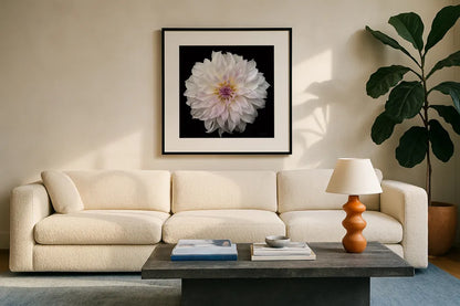Dahlia IV by Debra Van Swearingen. Displayed in a glass frame with matte in a clean modern living room. Available as an archival giclee rolled canvas, fine art paper, or poster print. SKU 89719a.