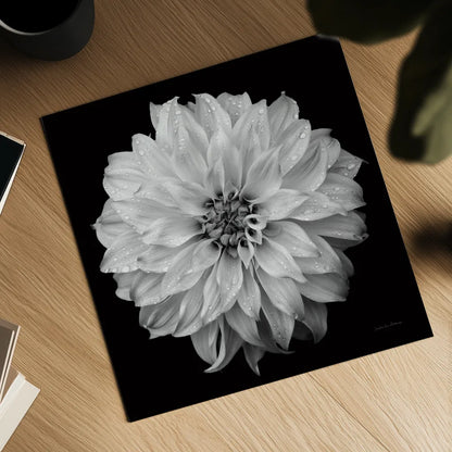 Dahlia IV BW by Debra Van Swearingen. Shown as a detailed flat fine art print, highlighting archival giclee quality. Available as an archival giclee rolled canvas, fine art paper, or poster print. SKU 89725a.