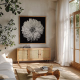 Dahlia IV BW by Debra Van Swearingen. Shown in a natural wood frame in a cozy modern living room. Available as an archival giclee rolled canvas, fine art paper, or poster print. SKU 89725a.
