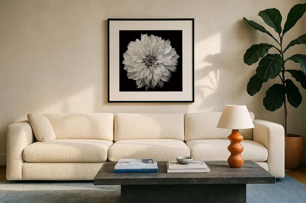 Dahlia IV BW by Debra Van Swearingen. Displayed in a glass frame with matte in a clean modern living room. Available as an archival giclee rolled canvas, fine art paper, or poster print. SKU 89725a.