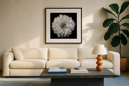 Dahlia IV BW by Debra Van Swearingen. Displayed in a glass frame with matte in a clean modern living room. Available as an archival giclee rolled canvas, fine art paper, or poster print. SKU 89725a.
