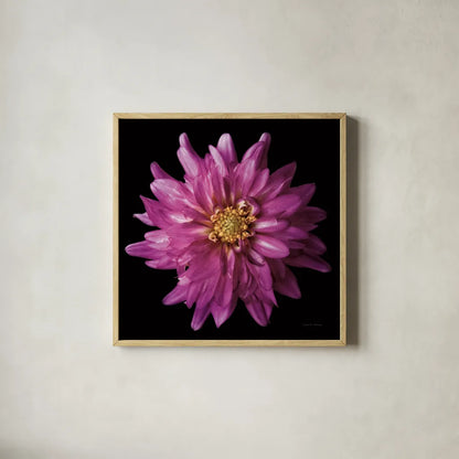 Dahlia V by Debra Van Swearingen. Shown in a natural wood glass frame for a timeless modern aesthetic. Available as an archival giclee rolled canvas, fine art paper, or poster print. SKU 89720a.