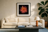 Dahlia VI by Debra Van Swearingen. Displayed in a glass frame with matte in a clean modern living room. Available as an archival giclee rolled canvas, fine art paper, or poster print. SKU 89721a.