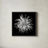 Dahlia VI BW by Debra Van Swearingen. Shown in a sleek black glass frame for a contemporary gallery look. Available as an archival giclee rolled canvas, fine art paper, or poster print. SKU 89727a.