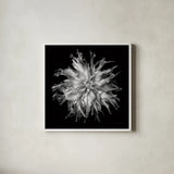 Dahlia VI BW by Debra Van Swearingen. Shown in a crisp white glass frame for a clean and minimalist style. Available as an archival giclee rolled canvas, fine art paper, or poster print. SKU 89727a.