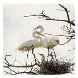 Devotion by Debra Van Swearingen. SKU 63782a. Archival Giclee Fine art print for wall decor.