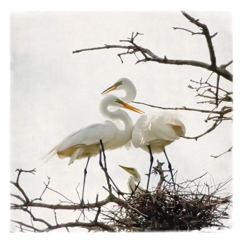 Devotion by Debra Van Swearingen. SKU 63782a. Archival Giclee Fine art print for wall decor.