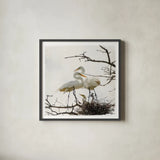 Devotion by Debra Van Swearingen. Shown in a sleek black glass frame for a contemporary gallery look. Available as an archival giclee rolled canvas, fine art paper, or poster print. SKU 63782a.