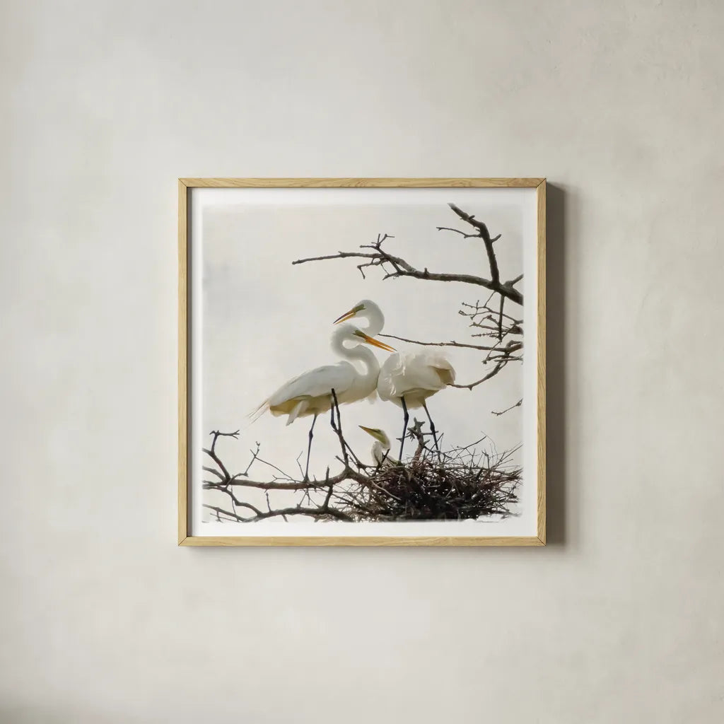 Devotion by Debra Van Swearingen. Shown in a natural wood glass frame for a timeless modern aesthetic. Available as an archival giclee rolled canvas, fine art paper, or poster print. SKU 63782a.