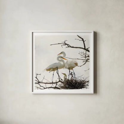 Devotion by Debra Van Swearingen. Shown in a crisp white glass frame for a clean and minimalist style. Available as an archival giclee rolled canvas, fine art paper, or poster print. SKU 63782a.