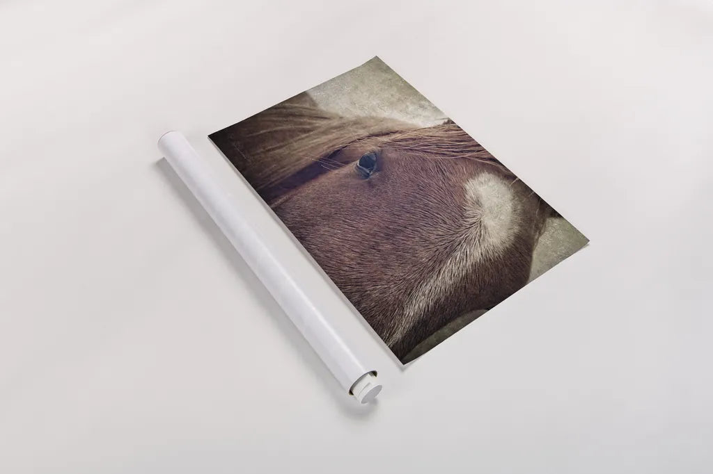 Dew Lashes by Debra Van Swearingen. shown as a rolled paper print. Available as archival giclee rolled canvas, fine art paper, or poster print. SKU 61435i.