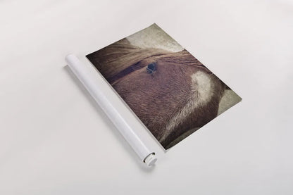 Dew Lashes by Debra Van Swearingen. shown as a rolled paper print. Available as archival giclee rolled canvas, fine art paper, or poster print. SKU 61435i.