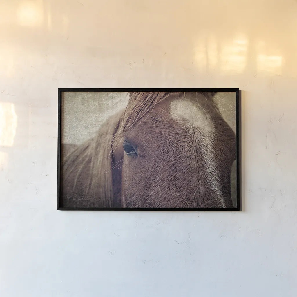 Dew Lashes by Debra Van Swearingen. shown as a paper print in a black flame. Available as a archival giclee rolled canvas, fine art paper, or poster print. SKU 61435i.