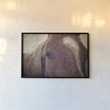 Dew Lashes by Debra Van Swearingen. shown as a paper print in a black flame. Available as a archival giclee rolled canvas, fine art paper, or poster print. SKU 61435i.