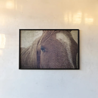 Dew Lashes by Debra Van Swearingen. shown as a paper print in a black flame. Available as a archival giclee rolled canvas, fine art paper, or poster print. SKU 61435i.