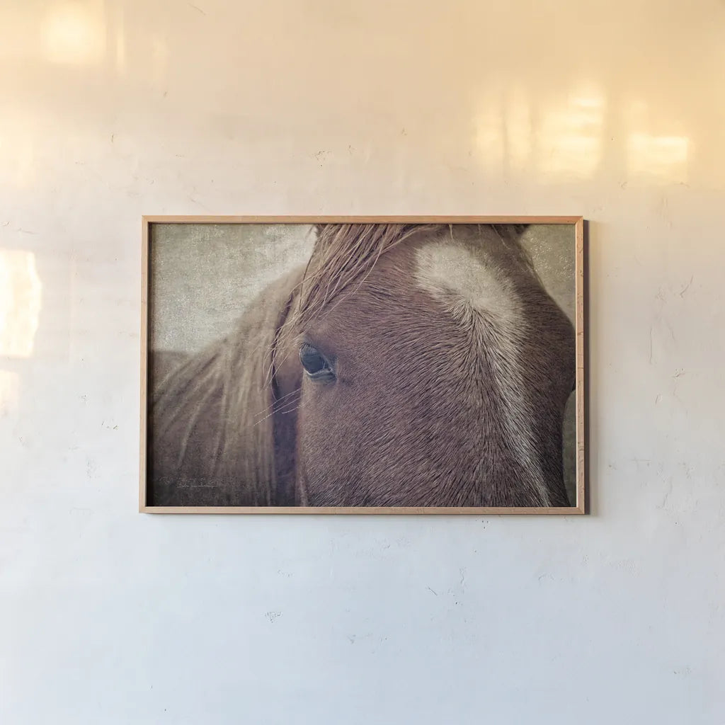 Dew Lashes by Debra Van Swearingen. shown as a paper print in a natural frame. Available as a archival giclee rolled canvas, fine art paper, or poster print. SKU 61435i.