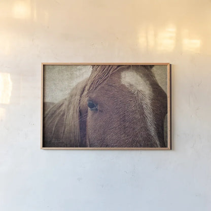 Dew Lashes by Debra Van Swearingen. shown as a paper print in a natural frame. Available as a archival giclee rolled canvas, fine art paper, or poster print. SKU 61435i.