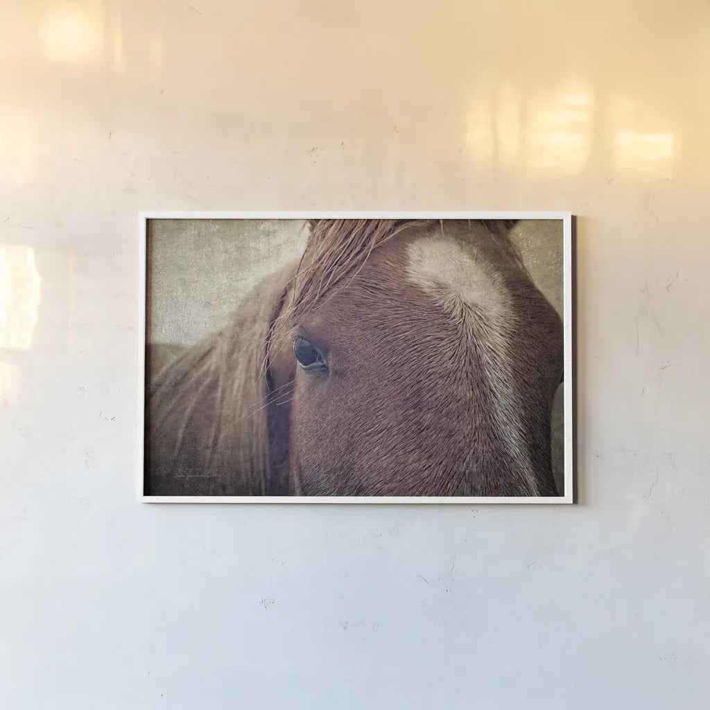 Dew Lashes by Debra Van Swearingen. shown as a paper print in a white frame. Available as a archival giclee rolled canvas, fine art paper, or poster print. SKU 61435i.