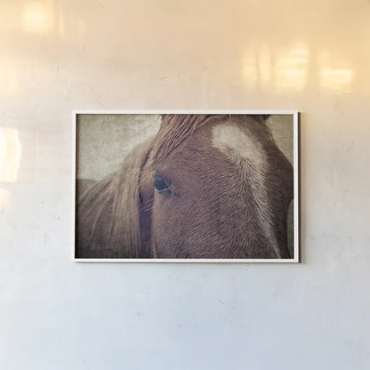 Dew Lashes by Debra Van Swearingen. shown as a paper print in a white frame. Available as a archival giclee rolled canvas, fine art paper, or poster print. SKU 61435i.