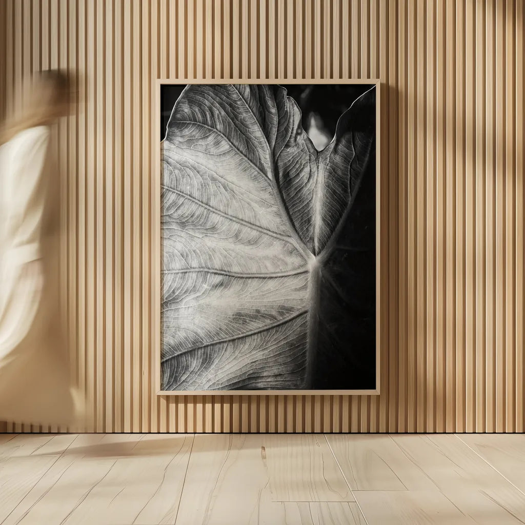 Elephant Ear I by Debra Van Swearingen. shown as over sized large wall art. Available as an archival giclee rolled canvas, fine art paper, or poster print. SKU 55160h.