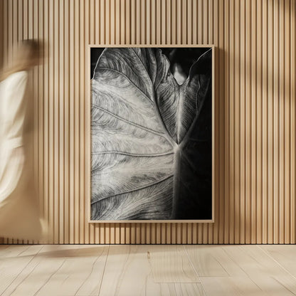 Elephant Ear I by Debra Van Swearingen. shown as over sized large wall art. Available as an archival giclee rolled canvas, fine art paper, or poster print. SKU 55160h.