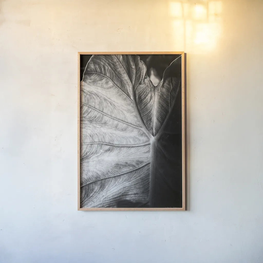 Elephant Ear I by Debra Van Swearingen. shown as a paper print in a natural frame. Available as a archival giclee rolled canvas, fine art paper, or poster print. SKU 55160h.