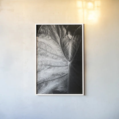 Elephant Ear I by Debra Van Swearingen. shown as a paper print in a white frame. Available as a archival giclee rolled canvas, fine art paper, or poster print. SKU 55160h.
