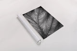 Elephant Ear II by Debra Van Swearingen. shown as a rolled paper print. Available as archival giclee rolled canvas, fine art paper, or poster print. SKU 55161h.
