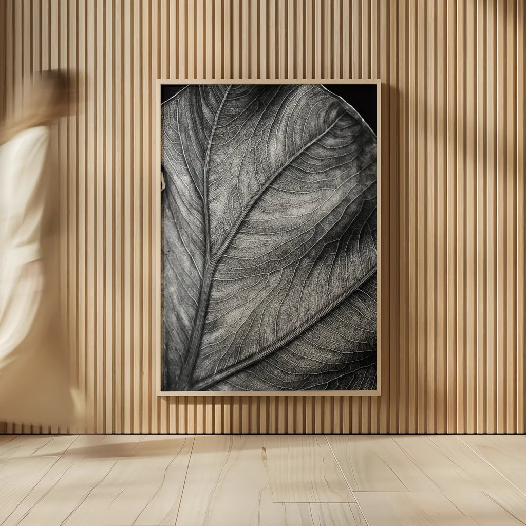 Elephant Ear II by Debra Van Swearingen. shown as over sized large wall art. Available as an archival giclee rolled canvas, fine art paper, or poster print. SKU 55161h.