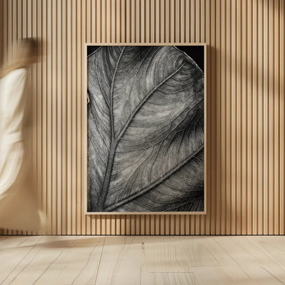 Elephant Ear II by Debra Van Swearingen. shown as over sized large wall art. Available as an archival giclee rolled canvas, fine art paper, or poster print. SKU 55161h.