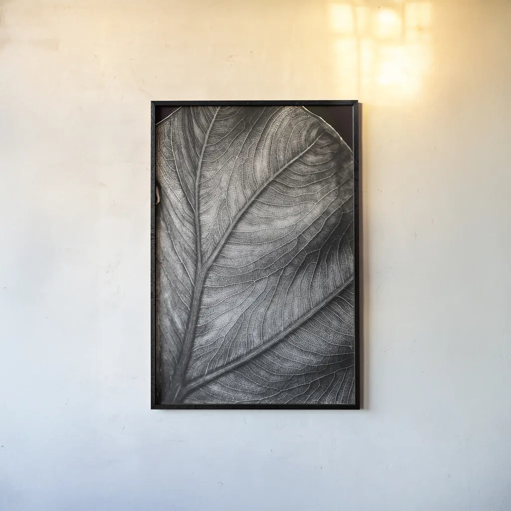 Elephant Ear II by Debra Van Swearingen. shown as a paper print in a black flame. Available as a archival giclee rolled canvas, fine art paper, or poster print. SKU 55161h.
