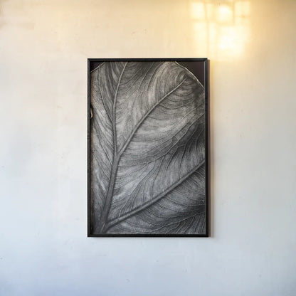 Elephant Ear II by Debra Van Swearingen. shown as a paper print in a black flame. Available as a archival giclee rolled canvas, fine art paper, or poster print. SKU 55161h.
