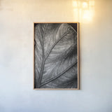Elephant Ear II by Debra Van Swearingen. shown as a paper print in a natural frame. Available as a archival giclee rolled canvas, fine art paper, or poster print. SKU 55161h.