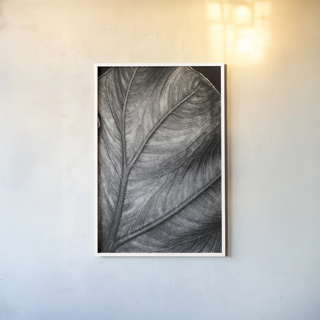 Elephant Ear II by Debra Van Swearingen. shown as a paper print in a white frame. Available as a archival giclee rolled canvas, fine art paper, or poster print. SKU 55161h.
