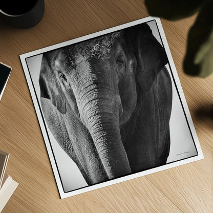Elephant I by Debra Van Swearingen. Shown as a detailed flat fine art print, highlighting archival giclee quality. Available as an archival giclee rolled canvas, fine art paper, or poster print. SKU 19399a.