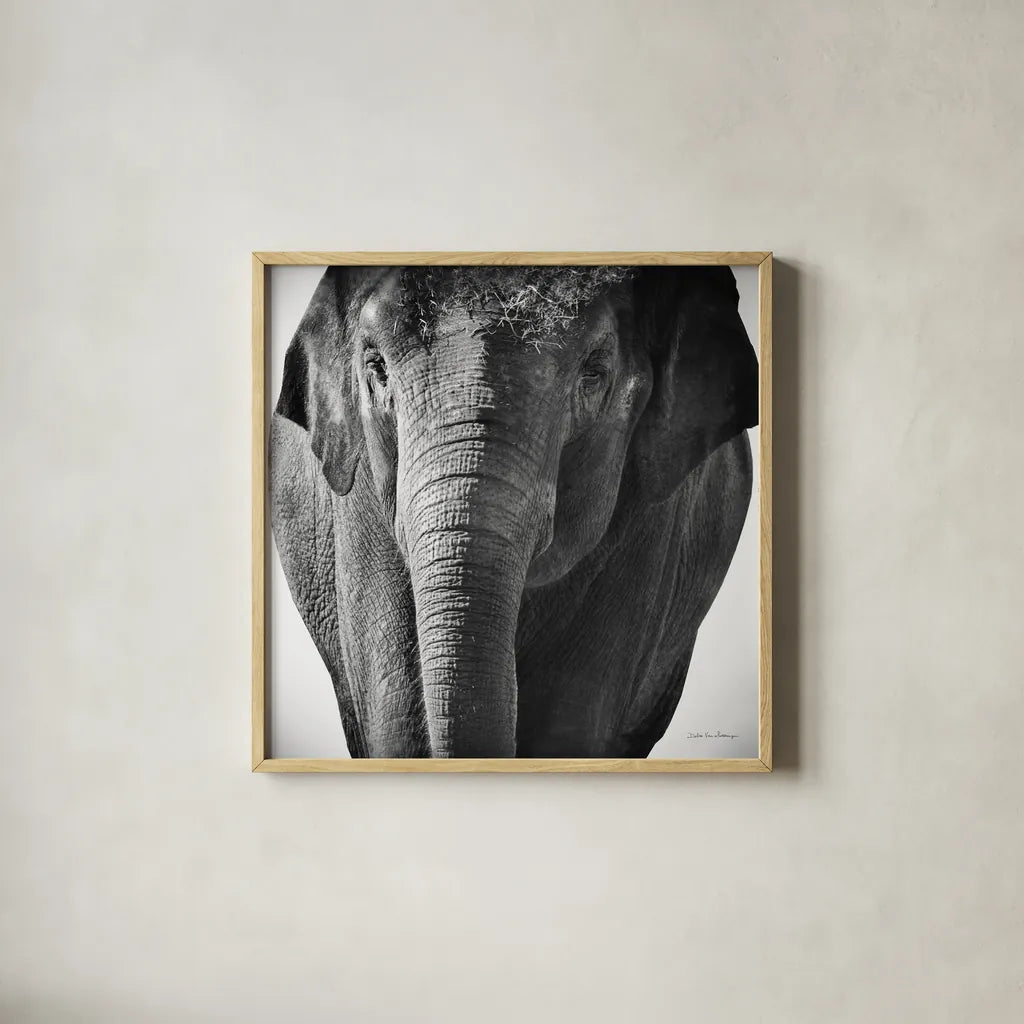 Elephant I No Border by Debra Van Swearingen. Shown in a natural wood glass frame for a timeless modern aesthetic. Available as an archival giclee rolled canvas, fine art paper, or poster print. SKU 41814a.