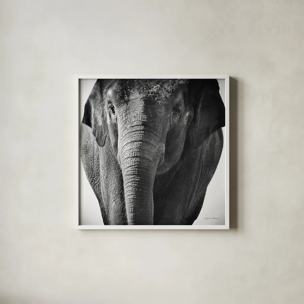 Elephant I No Border by Debra Van Swearingen. Shown in a crisp white glass frame for a clean and minimalist style. Available as an archival giclee rolled canvas, fine art paper, or poster print. SKU 41814a.