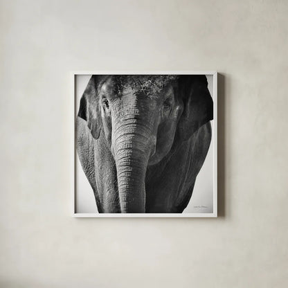 Elephant I No Border by Debra Van Swearingen. Shown in a crisp white glass frame for a clean and minimalist style. Available as an archival giclee rolled canvas, fine art paper, or poster print. SKU 41814a.