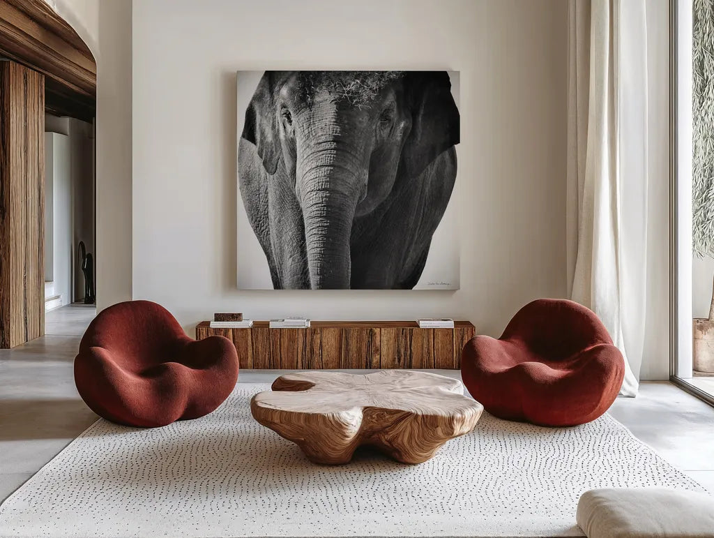 Elephant I No Border by Debra Van Swearingen. Shown as extra-large giant wall art in a modern living room. Available as an archival giclee rolled canvas, fine art paper, or poster print. SKU 41814a.