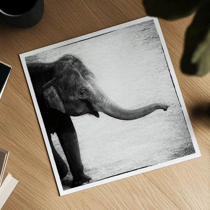 Elephant II by Debra Van Swearingen. Shown as a detailed flat fine art print, highlighting archival giclee quality. Available as an archival giclee rolled canvas, fine art paper, or poster print. SKU 19400a.