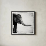 Elephant II by Debra Van Swearingen. Shown in a sleek black glass frame for a contemporary gallery look. Available as an archival giclee rolled canvas, fine art paper, or poster print. SKU 19400a.