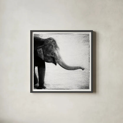 Elephant II by Debra Van Swearingen. Shown in a sleek black glass frame for a contemporary gallery look. Available as an archival giclee rolled canvas, fine art paper, or poster print. SKU 20878a.