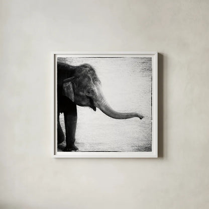 Elephant II by Debra Van Swearingen. Shown in a crisp white glass frame for a clean and minimalist style. Available as an archival giclee rolled canvas, fine art paper, or poster print. SKU 20878a.