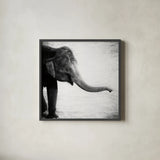 Elephant II No Border by Debra Van Swearingen. Shown in a sleek black glass frame for a contemporary gallery look. Available as an archival giclee rolled canvas, fine art paper, or poster print. SKU 41815a.
