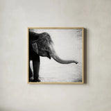 Elephant II No Border by Debra Van Swearingen. Shown in a natural wood glass frame for a timeless modern aesthetic. Available as an archival giclee rolled canvas, fine art paper, or poster print. SKU 41815a.