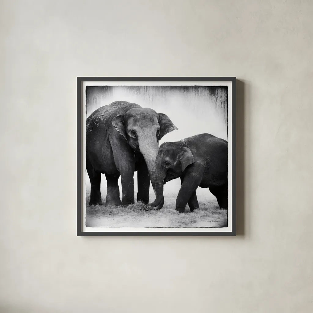 Elephant III by Debra Van Swearingen. Shown in a sleek black glass frame for a contemporary gallery look. Available as an archival giclee rolled canvas, fine art paper, or poster print. SKU 20879a.