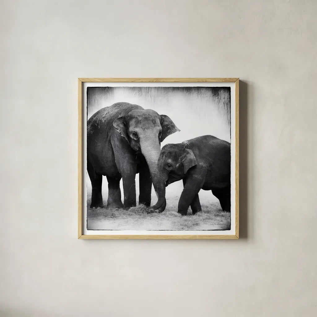 Elephant III by Debra Van Swearingen. Shown in a natural wood glass frame for a timeless modern aesthetic. Available as an archival giclee rolled canvas, fine art paper, or poster print. SKU 20879a.
