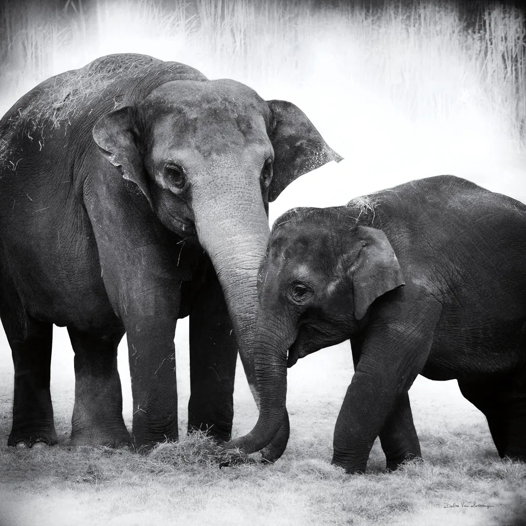 Elephant III No Border by Debra Van Swearingen. SKU 41816a. Archival Giclee Fine art print for wall decor.