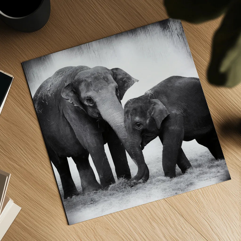 Elephant III No Border by Debra Van Swearingen. Shown as a detailed flat fine art print, highlighting archival giclee quality. Available as an archival giclee rolled canvas, fine art paper, or poster print. SKU 41816a.